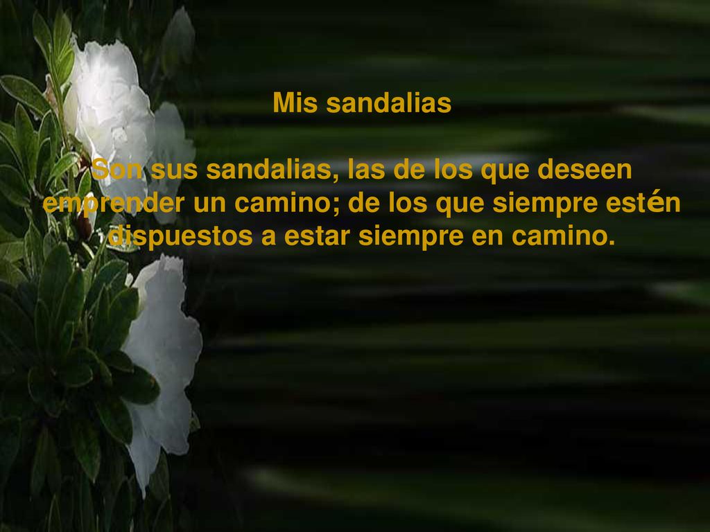 Mis sandalias Son sus sandalias, las de los que deseen emprender un camino; de los que siempre estén dispuestos a estar siempre en camino.