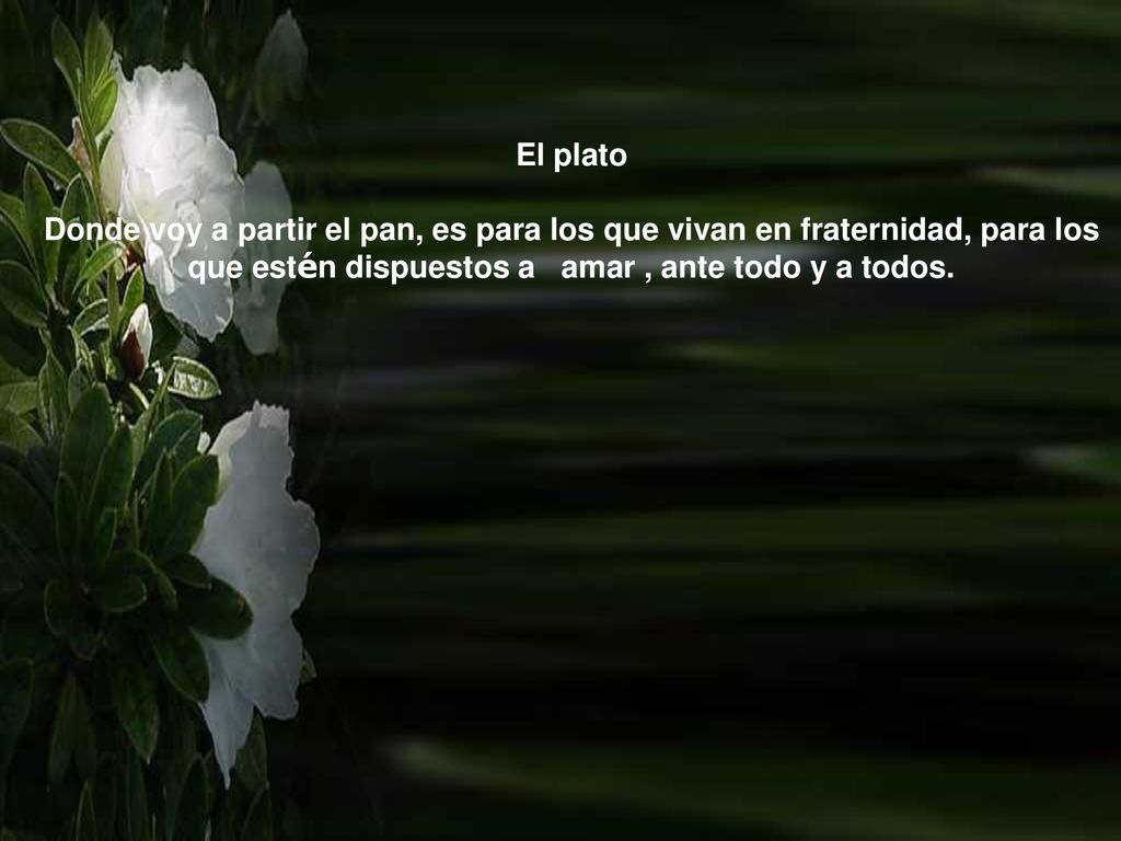 El plato Donde voy a partir el pan, es para los que vivan en fraternidad, para los que estén dispuestos a amar , ante todo y a todos.