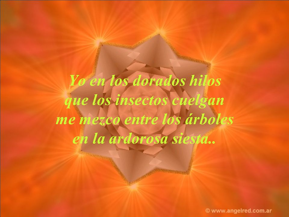 Yo en los dorados hilos que los insectos cuelgan me mezco entre los árboles en la ardorosa siesta..