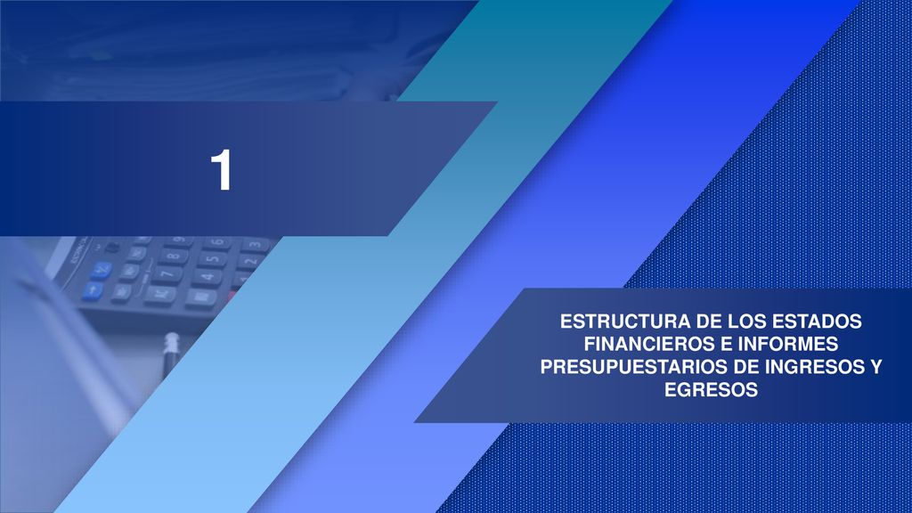 1 ESTRUCTURA DE LOS ESTADOS FINANCIEROS E INFORMES PRESUPUESTARIOS DE INGRESOS Y EGRESOS