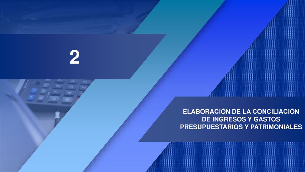 2 ELABORACIÓN DE LA CONCILIACIÓN DE INGRESOS Y GASTOS PRESUPUESTARIOS Y PATRIMONIALES