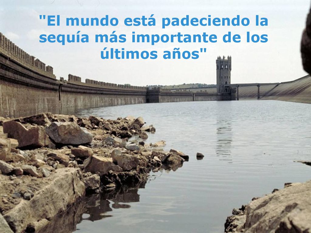 El mundo está padeciendo la sequía más importante de los últimos años
