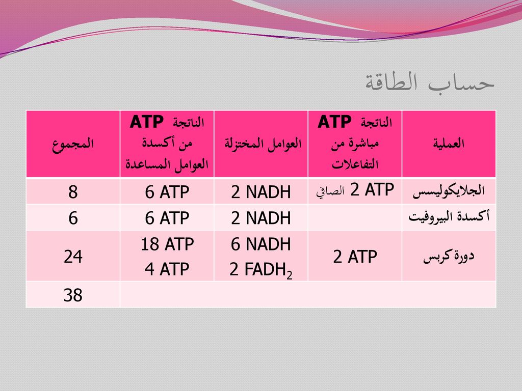 ATP الناتجة من أكسدة العوامل المساعدة ATP الناتجة مباشرة من التفاعلات
