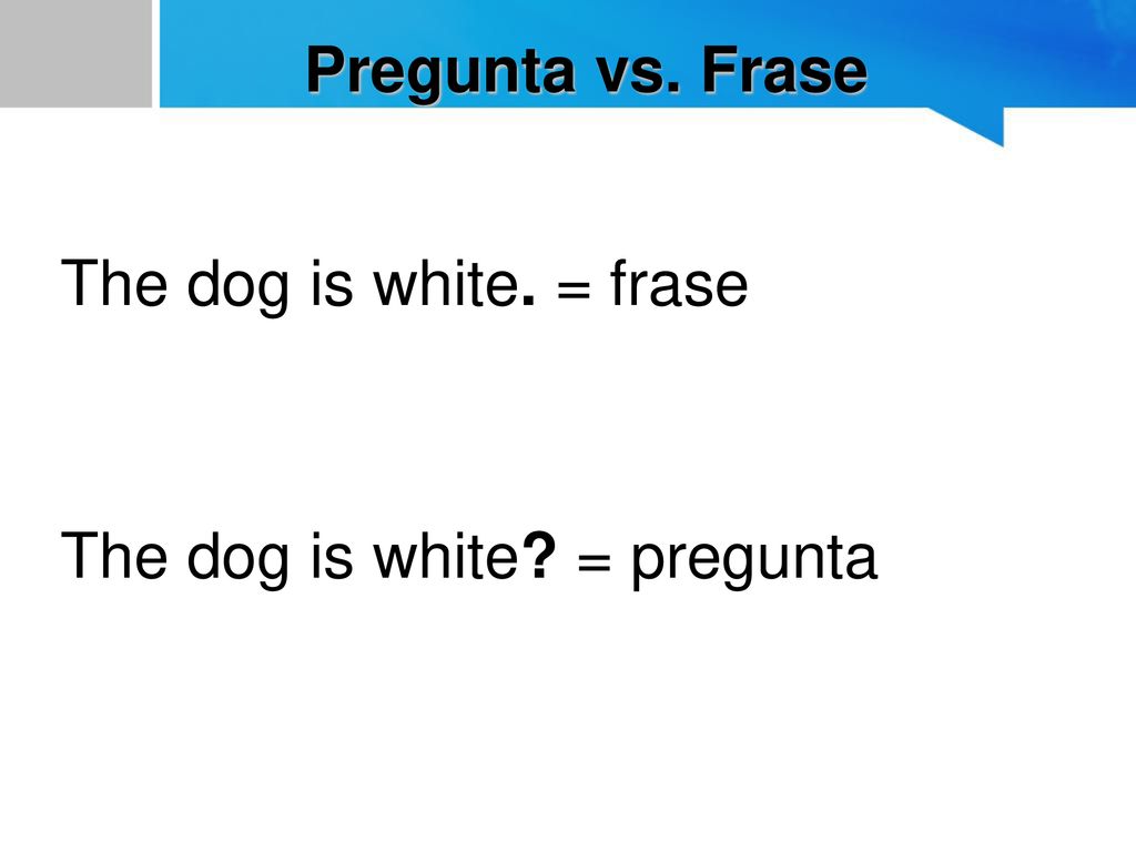 The dog is white. = frase The dog is white = pregunta