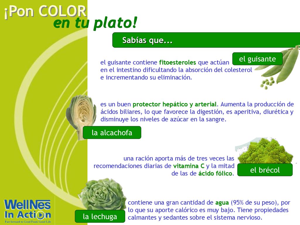 Sabías que... el guisante la alcachofa el brécol la lechuga