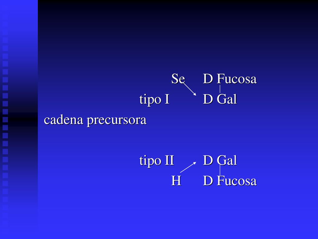 Se D Fucosa tipo I D Gal cadena precursora tipo II D Gal H D Fucosa