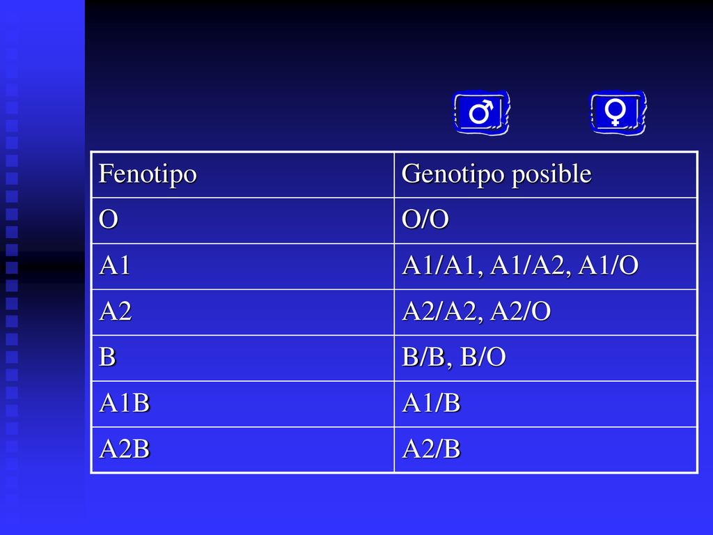 Fenotipo Genotipo posible O O/O A1 A1/A1, A1/A2, A1/O A2 A2/A2, A2/O B B/B, B/O A1B A1/B A2B A2/B