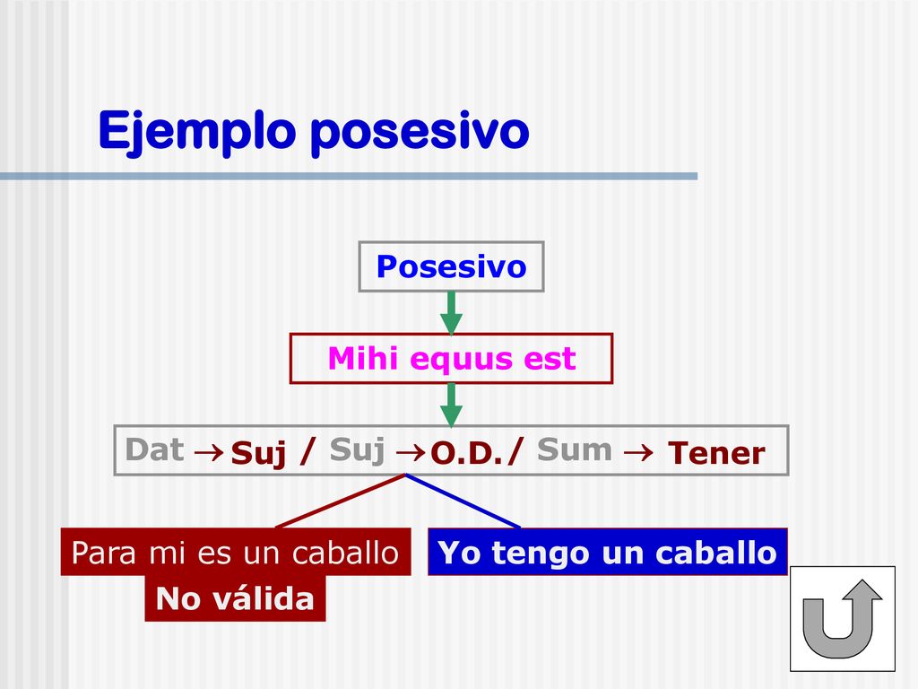 Ejemplo posesivo Posesivo Mihi equus est Dat  / Suj  / Sum  Suj
