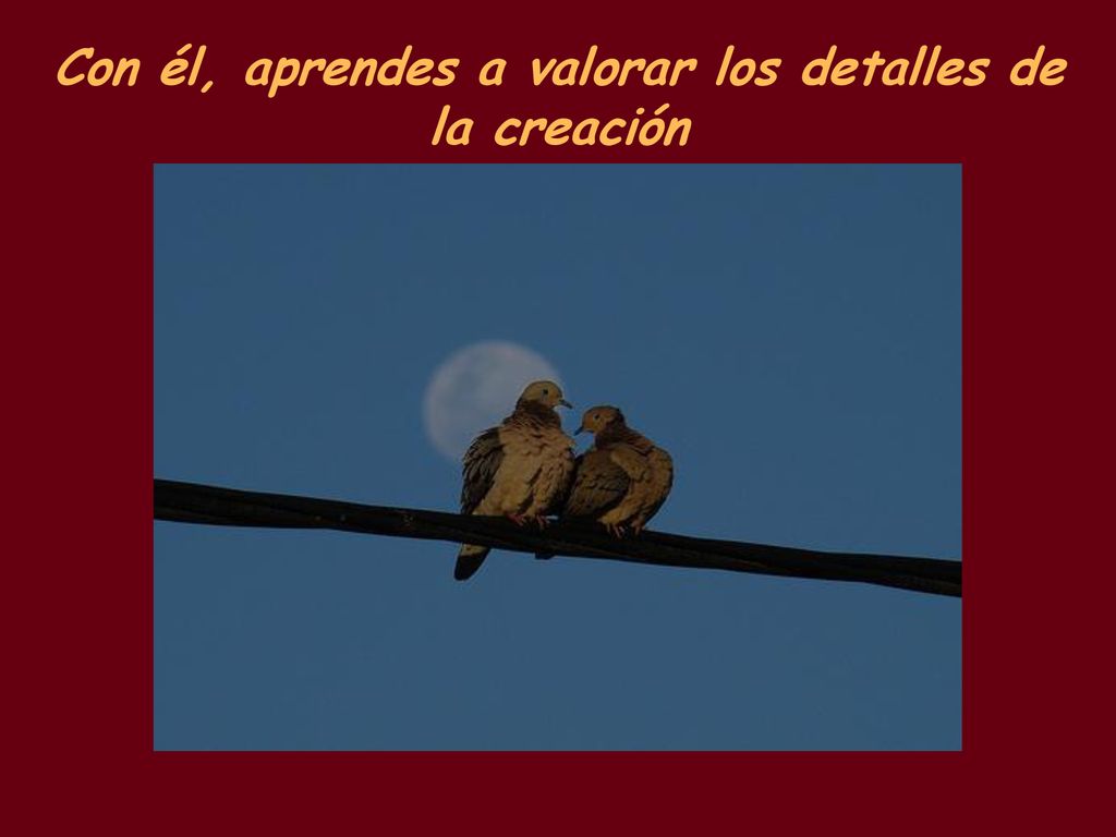 Con él, aprendes a valorar los detalles de la creación