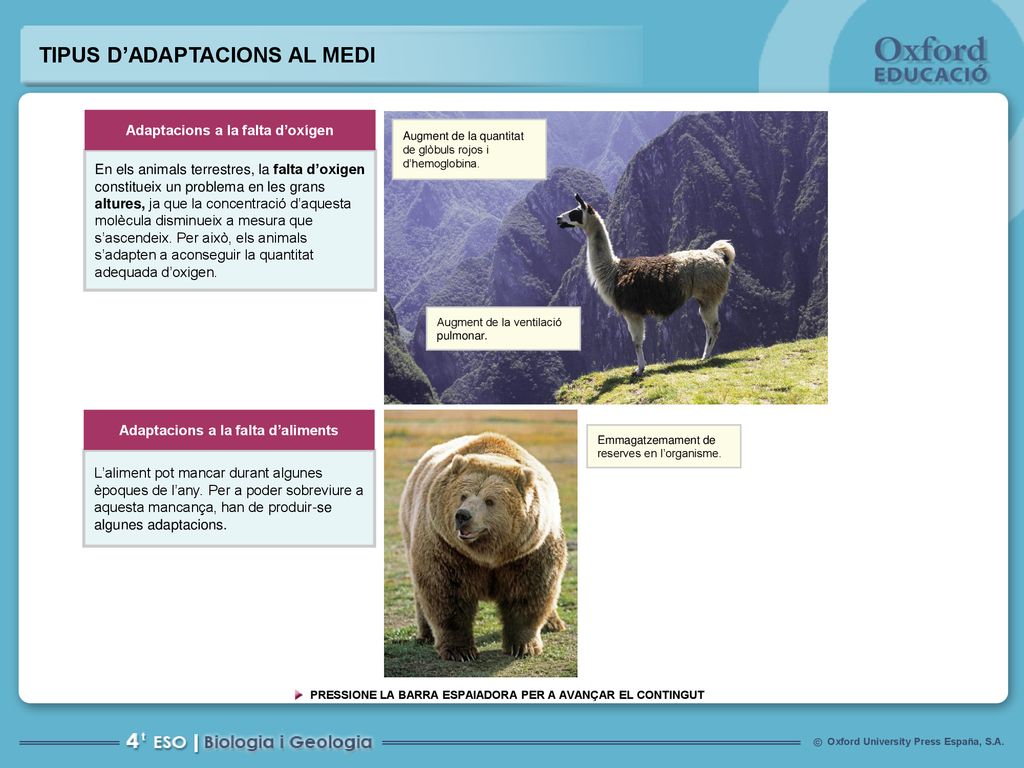 Adaptacions a la falta d’oxígen Adaptacions a la falta d’aliments