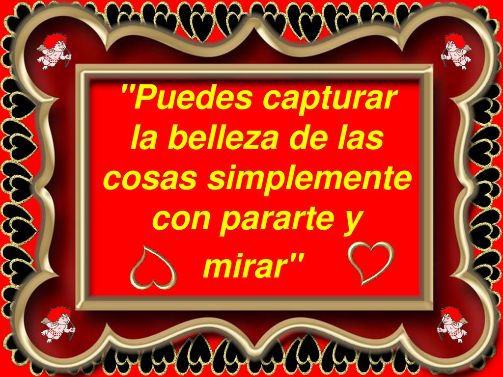 Puedes capturar la belleza de las cosas simplemente con pararte y mirar