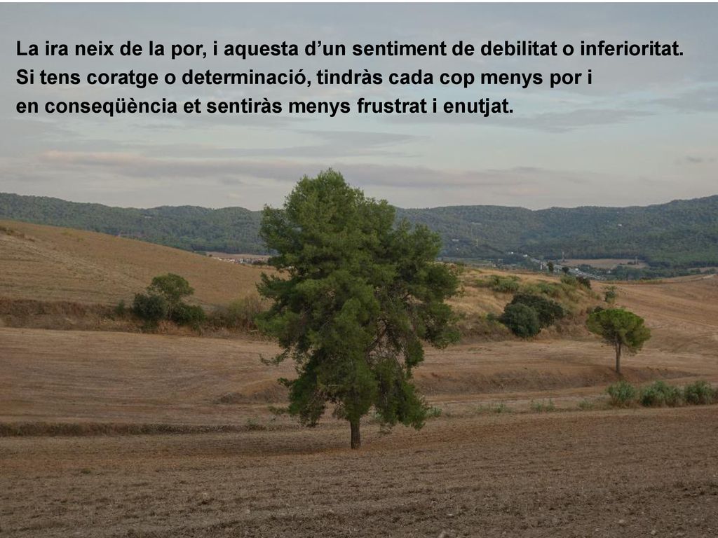 La ira neix de la por, i aquesta d’un sentiment de debilitat o inferioritat.