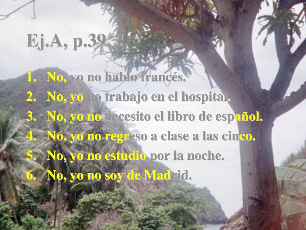 Ej.A, p.39 No, yo no hablo francés. No, yo no trabajo en el hospital.