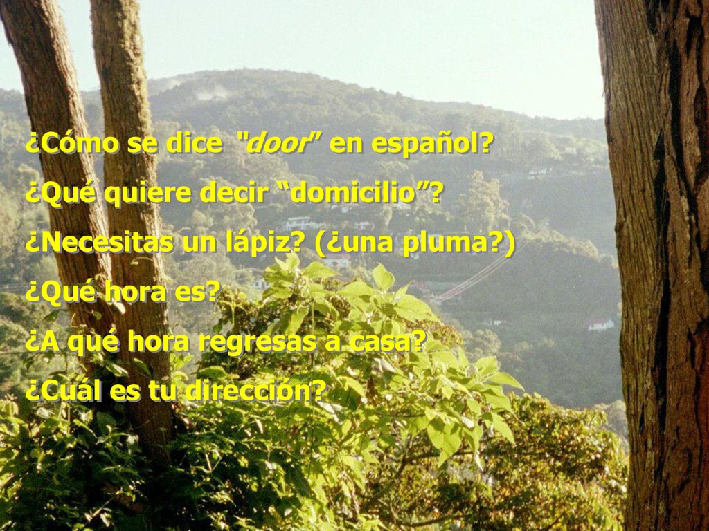 ¿Cómo se dice door en español ¿Qué quiere decir domicilio