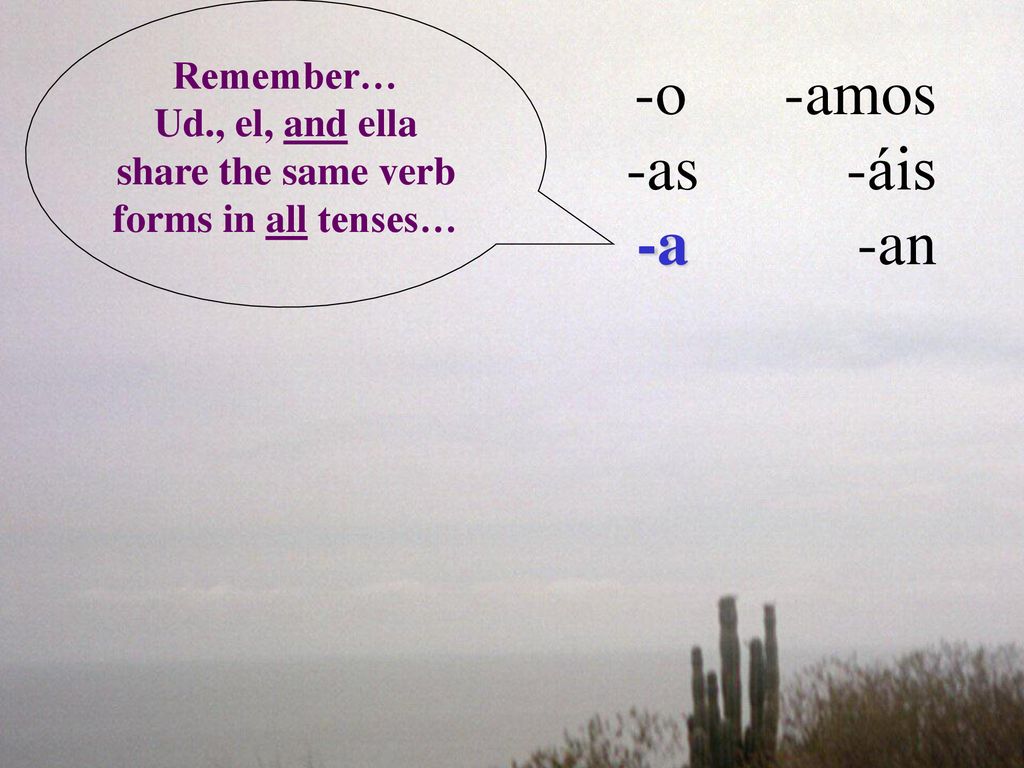 Ud., el, and ella share the same verb forms in all tenses…