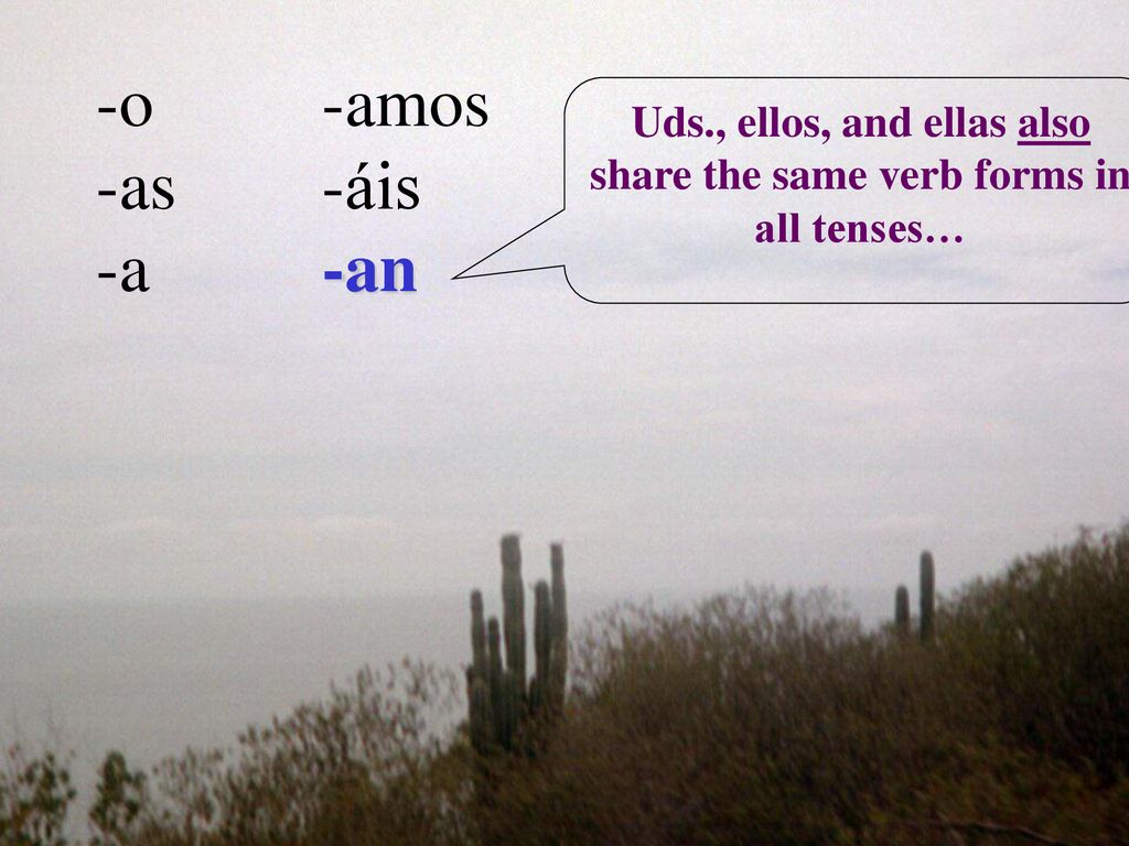 Uds., ellos, and ellas also share the same verb forms in all tenses…