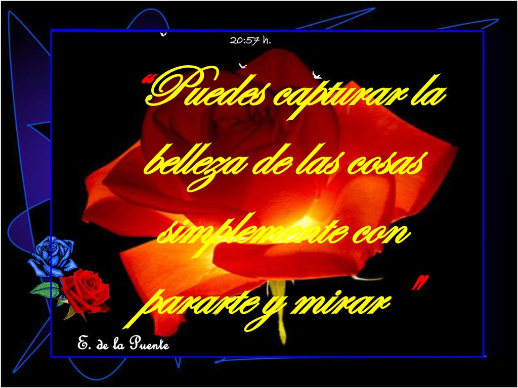 20:57 h. Puedes capturar la belleza de las cosas simplemente con pararte y mirar E. de la Puente