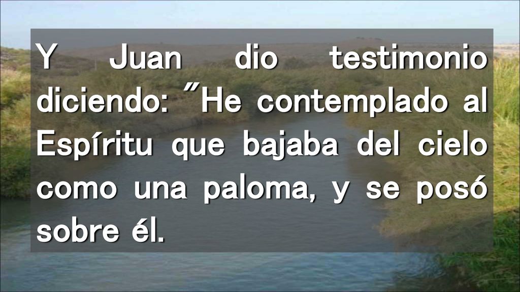 Y Juan dio testimonio diciendo: He contemplado al Espíritu que bajaba del cielo como una paloma, y se posó sobre él.