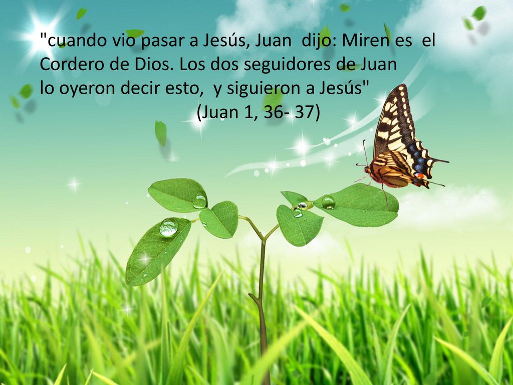 cuando vio pasar a Jesús, Juan dijo: Miren es el Cordero de Dios