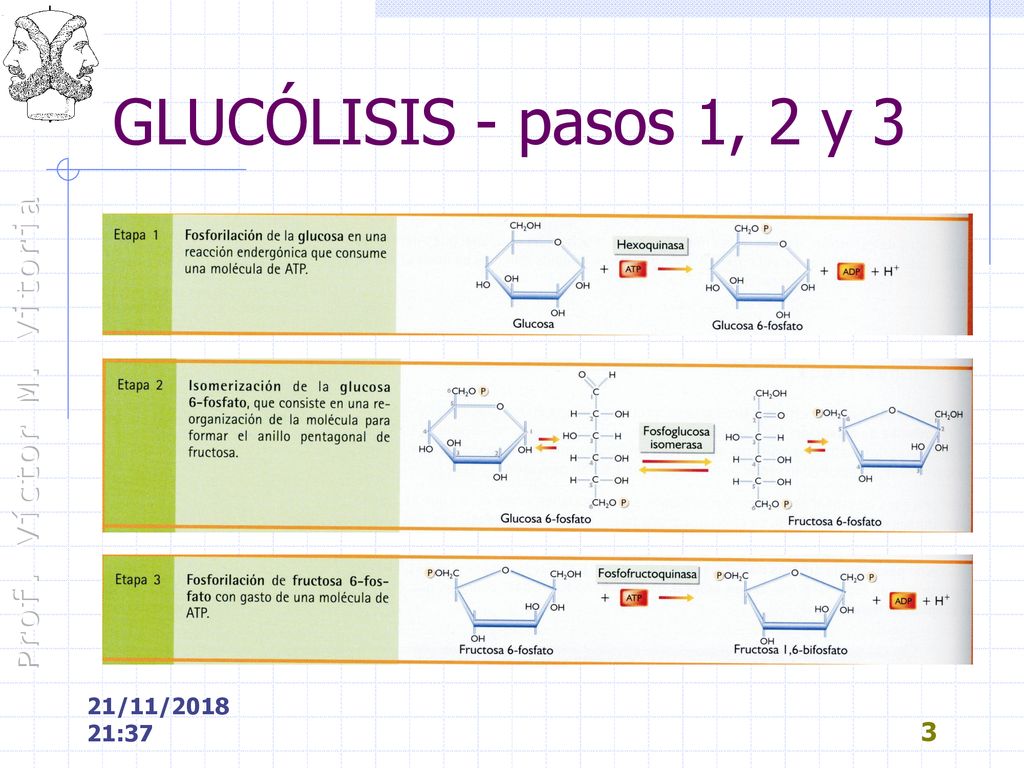 GLUCÓLISIS - pasos 1, 2 y 3 21/11/ :3721/11/ :37