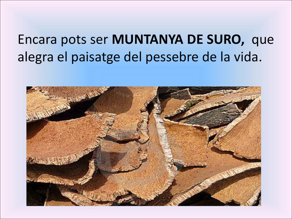 Encara pots ser MUNTANYA DE SURO, que alegra el paisatge del pessebre de la vida.