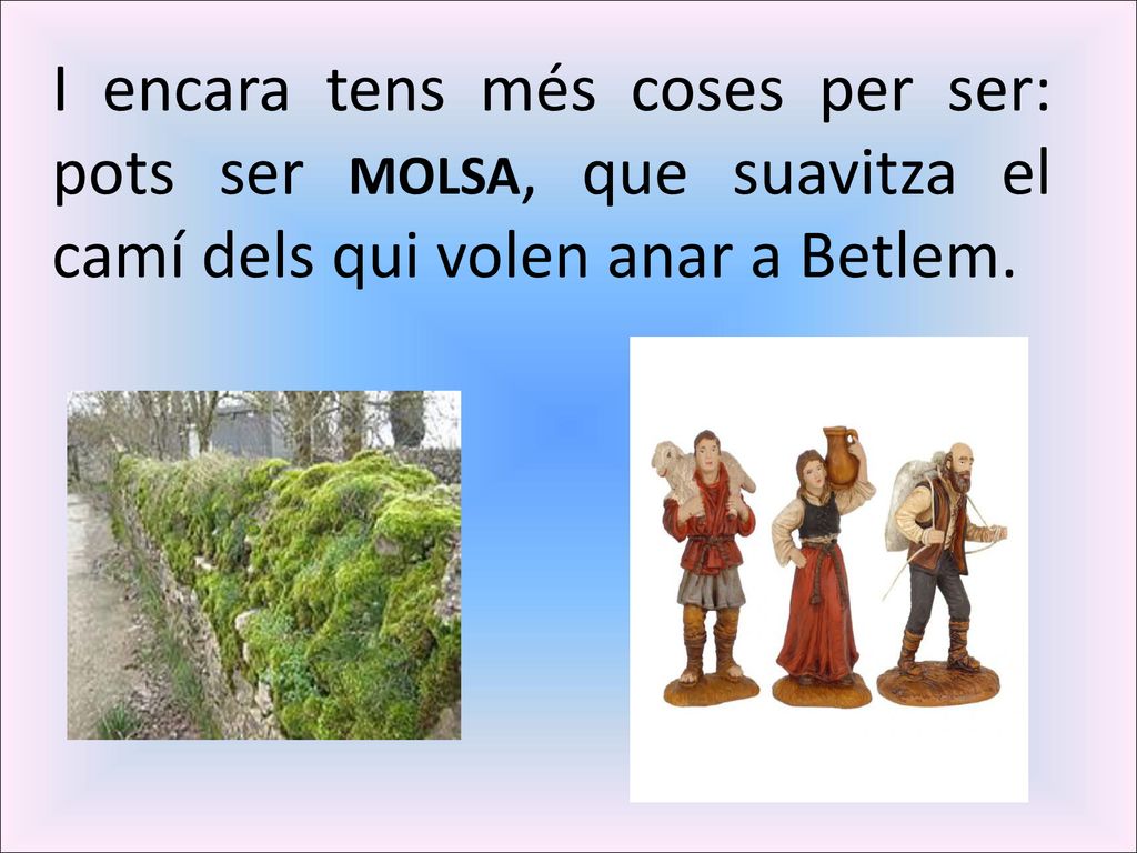 I encara tens més coses per ser: pots ser MOLSA, que suavitza el camí dels qui volen anar a Betlem.