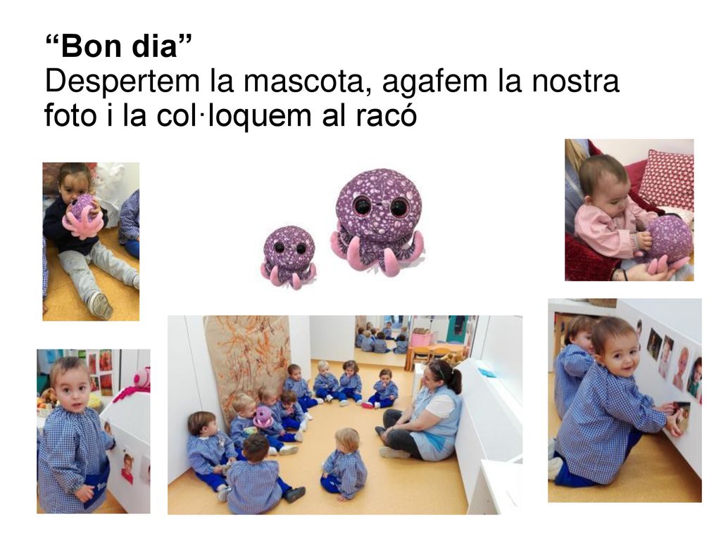 Bon dia Despertem la mascota, agafem la nostra foto i la col·loquem al racó