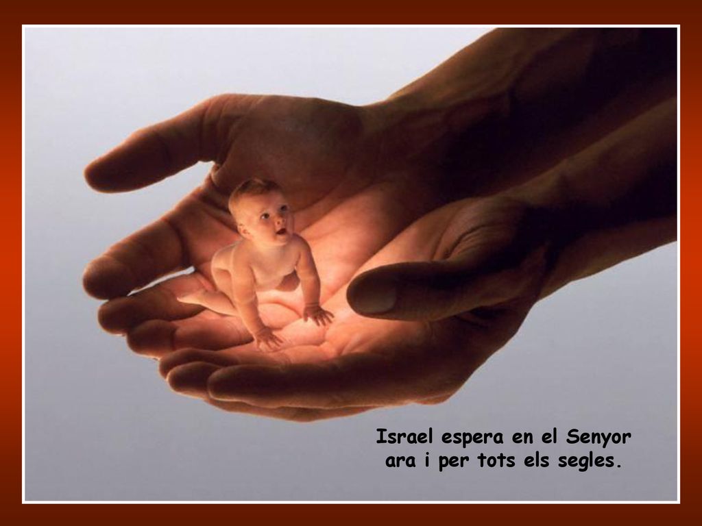 Israel espera en el Senyor ara i per tots els segles.