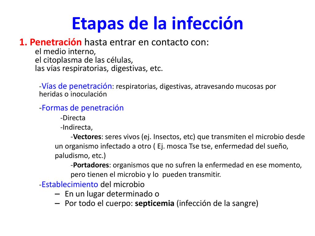 Etapas de la infección 1. Penetración hasta entrar en contacto con: