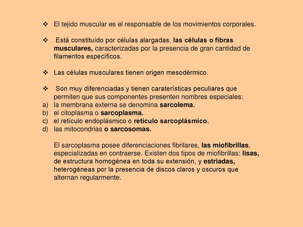 El tejido muscular es el responsable de los movimientos corporales.