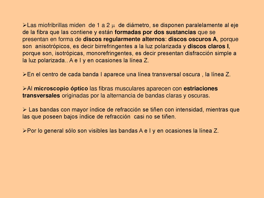 Las miofribrillas miden de 1 a 2  de diámetro, se disponen paralelamente al eje de la fibra que las contiene y están formadas por dos sustancias que se presentan en forma de discos regularmente alternos: discos oscuros A, porque son anisotrópicos, es decir birrefringentes a la luz polarizada y discos claros I, porque son, isotrópicas, monorefringentes, es decir presentan disfracción simple a la luz polarizada.. A e I y en ocasiones la línea Z.