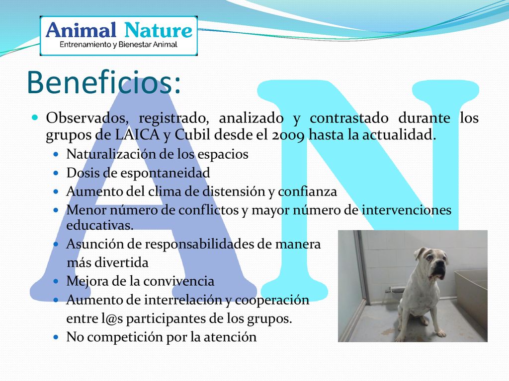 Beneficios: Observados, registrado, analizado y contrastado durante los grupos de LAICA y Cubil desde el 2009 hasta la actualidad.