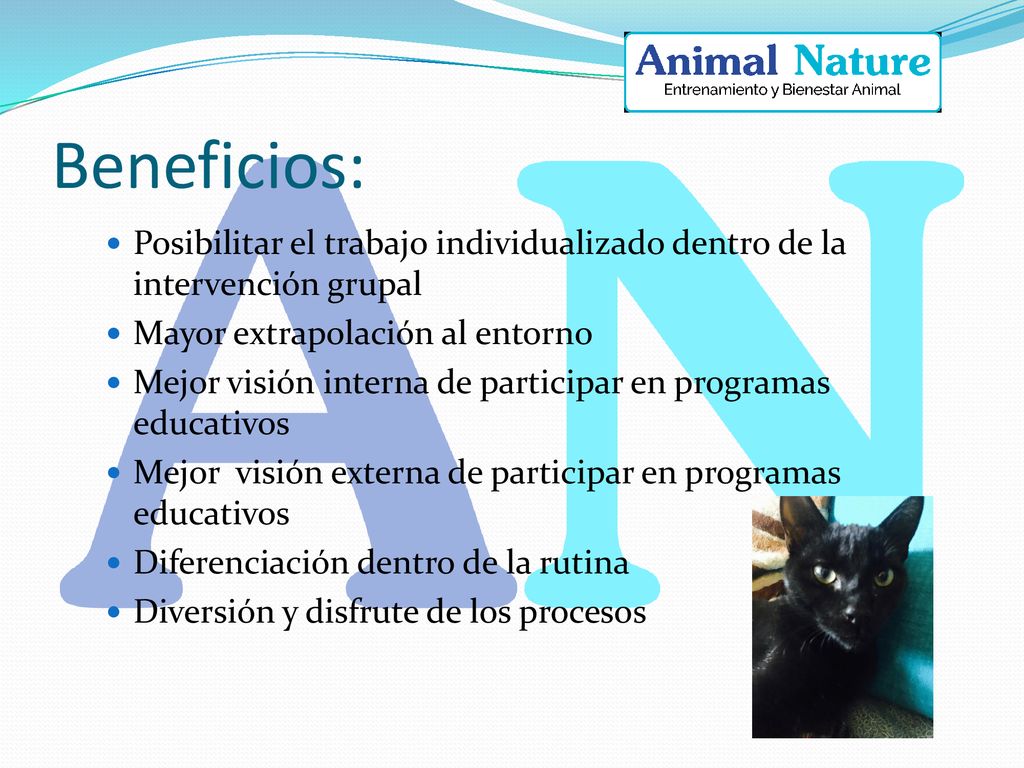 Beneficios: Posibilitar el trabajo individualizado dentro de la intervención grupal. Mayor extrapolación al entorno.