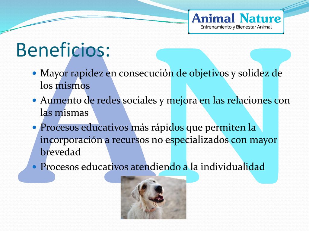 Beneficios: Mayor rapidez en consecución de objetivos y solidez de los mismos. Aumento de redes sociales y mejora en las relaciones con las mismas.