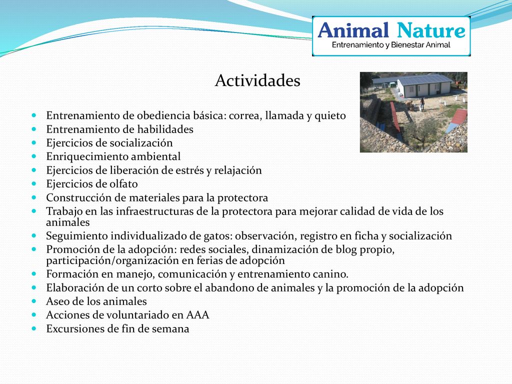 Actividades Entrenamiento de obediencia básica: correa, llamada y quieto. Entrenamiento de habilidades.