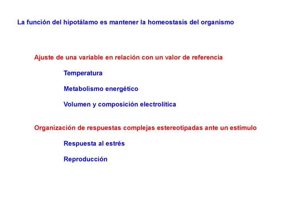 La función del hipotálamo es mantener la homeostasis del organismo
