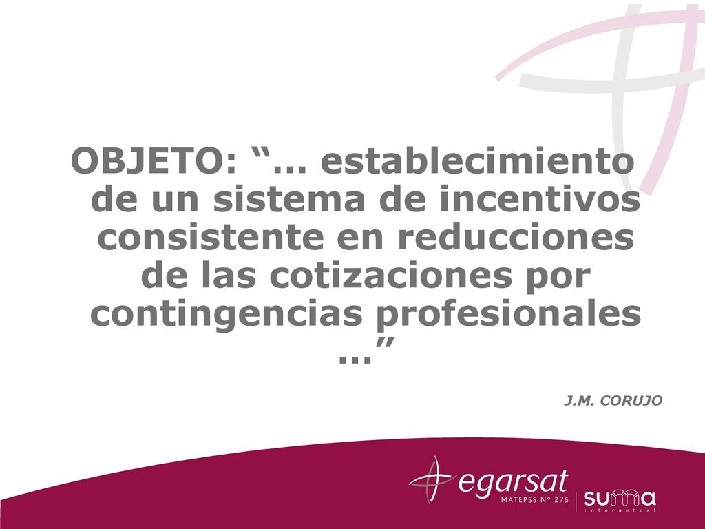 OBJETO: … establecimiento de un sistema de incentivos consistente en reducciones de las cotizaciones por contingencias profesionales …