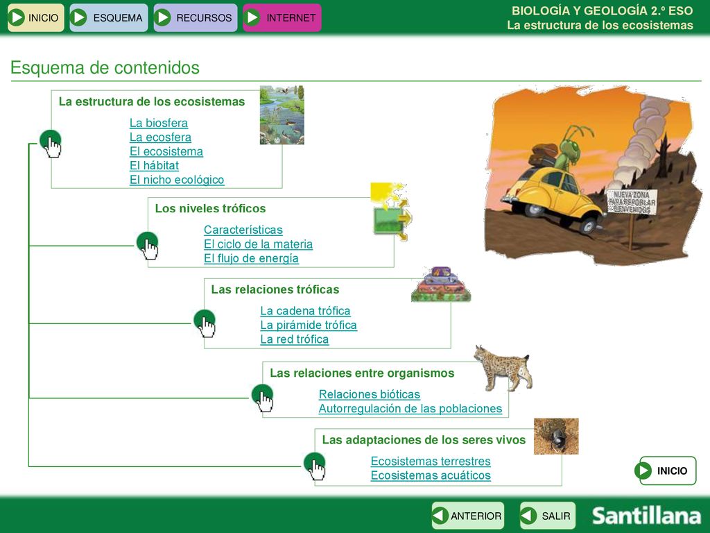 Esquema de contenidos La estructura de los ecosistemas La biosfera