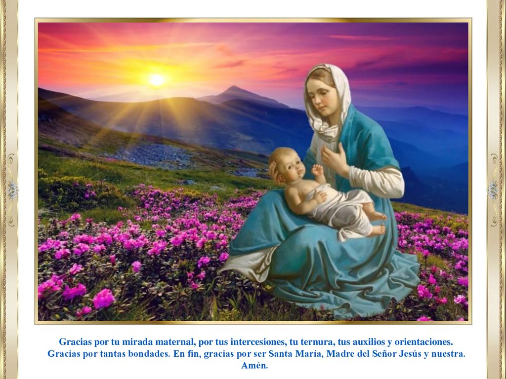 Gracias por tu mirada maternal, por tus intercesiones, tu ternura, tus auxilios y orientaciones.