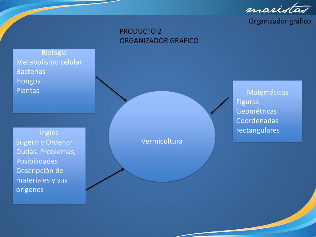 Organizador gráfico PRODUCTO 2. ORGANIZADOR GRAFICO. Biología. Metabolismo celular. Bacterias. Hongos.