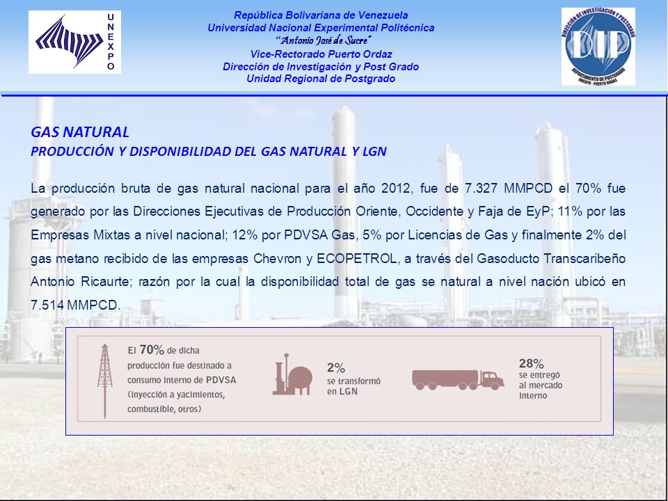 Gas Natural Producción y disponibilidad del Gas Natural y LGN