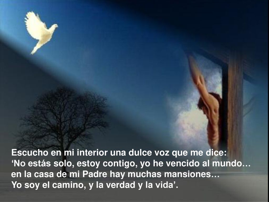 Escucho en mi interior una dulce voz que me dice: