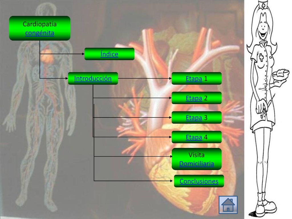 Conclusiones Etapa 1. Etapa 3. Introducción. Índice. Cardiopatía. congénita. Etapa 2. Etapa 4.