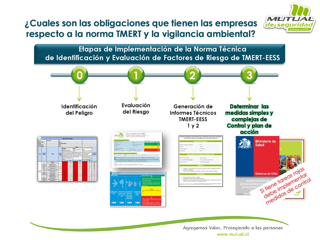 ¿Cuales son las obligaciones que tienen las empresas respecto a la norma TMERT y la vigilancia ambiental