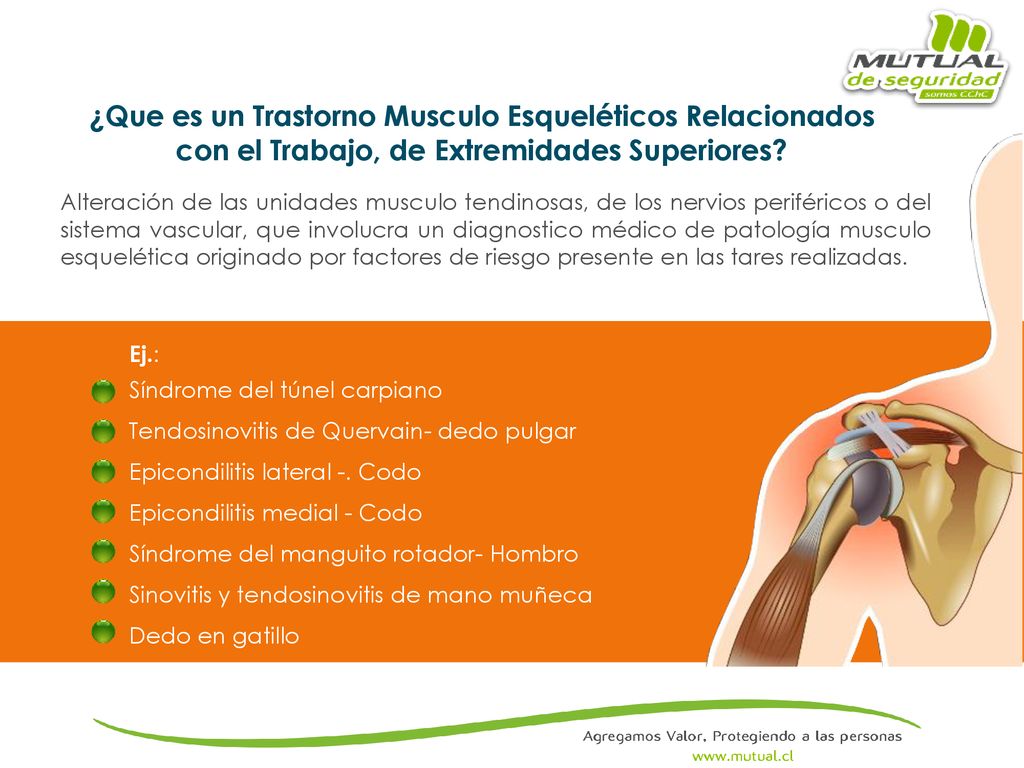 ¿Que es un Trastorno Musculo Esqueléticos Relacionados con el Trabajo, de Extremidades Superiores