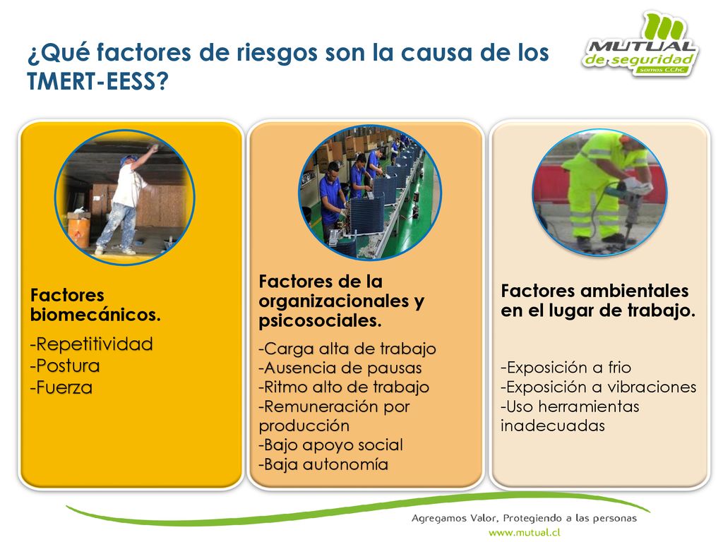 ¿Qué factores de riesgos son la causa de los TMERT-EESS