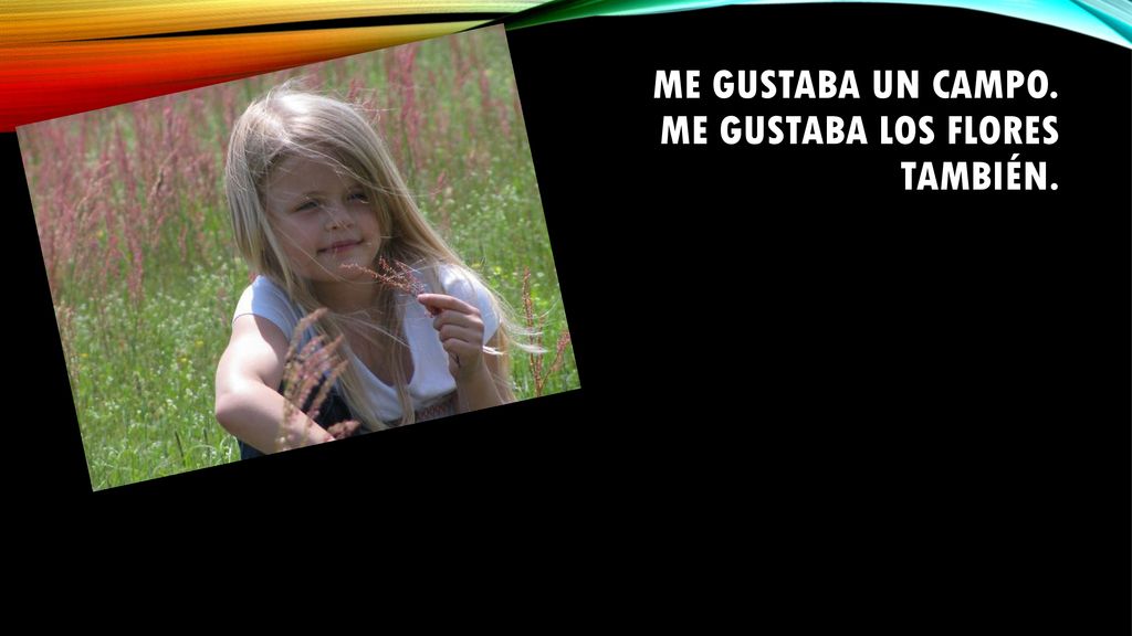Me gustaba un campo. Me gustaba los flores también.