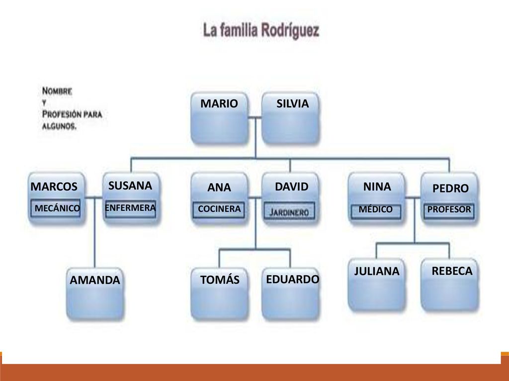 MARIO SILVIA MARCOS SUSANA ANA DAVID NINA PEDRO JULIANA REBECA AMANDA