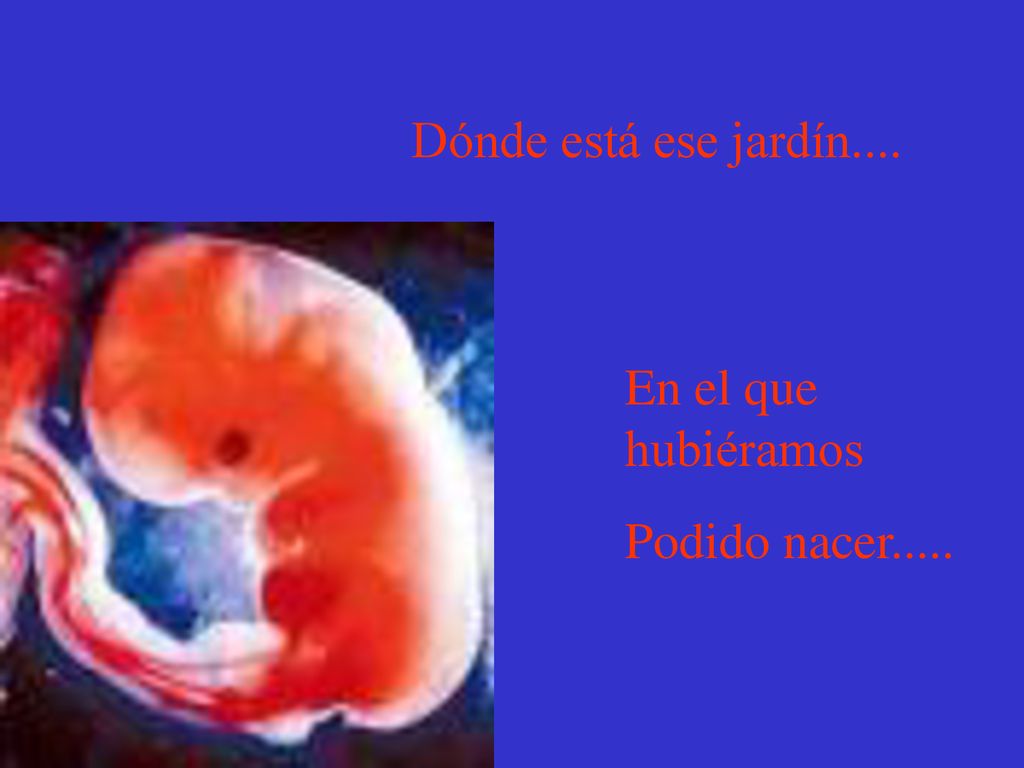 Dónde está ese jardín.... En el que hubiéramos Podido nacer.....