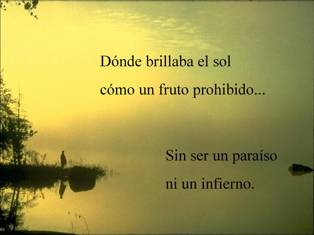 Dónde brillaba el sol cómo un fruto prohibido... Sin ser un paraíso ni un infierno.